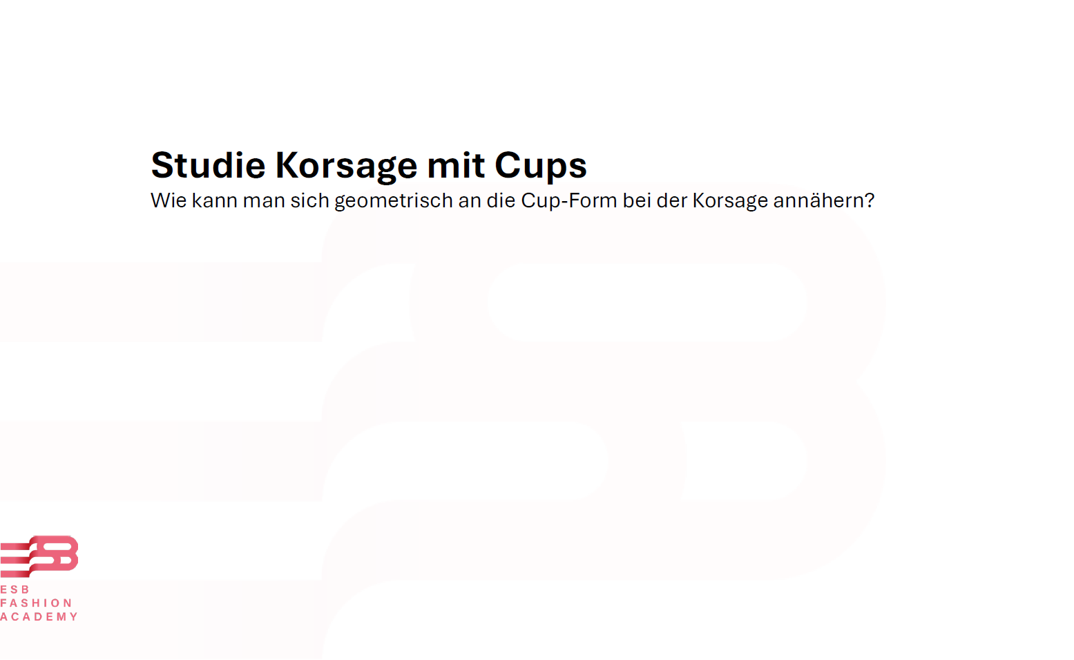studie cups